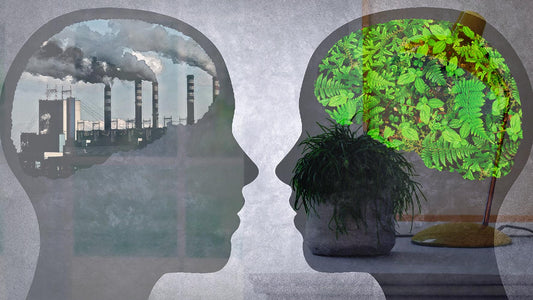 Psicologia ambiental