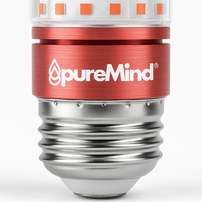 Luz Vermelha | Standard