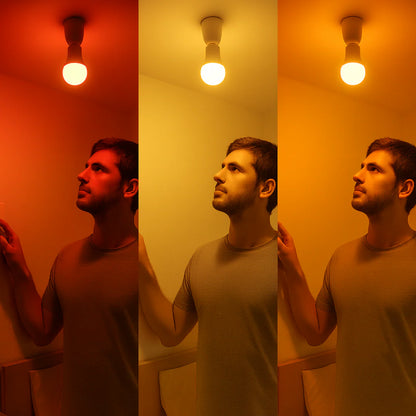 Luz Espectro | Vermelho, Âmbar e Misto